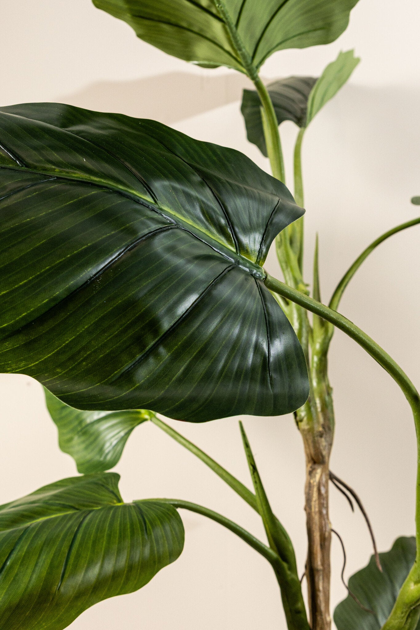 Leaves Plant Grote Groene Philodendron In Zwarte Pot L 195x50x50 cm