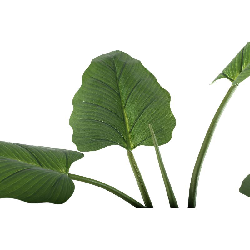 Leaves Plant Groene Philodendron In Zwarte Pot S 130x45x45 cm