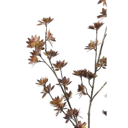 Garden Flower Donkerbruine Droogchrysant Set van 6 108x61x38 cm