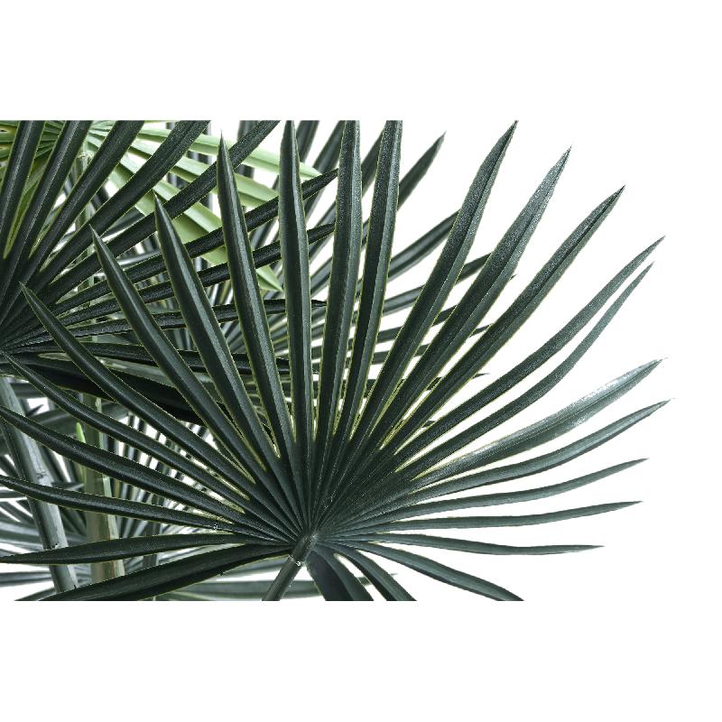 Tree Plant Trachycarpus Palm S Set van 4 Stuks 70x45x30 cm