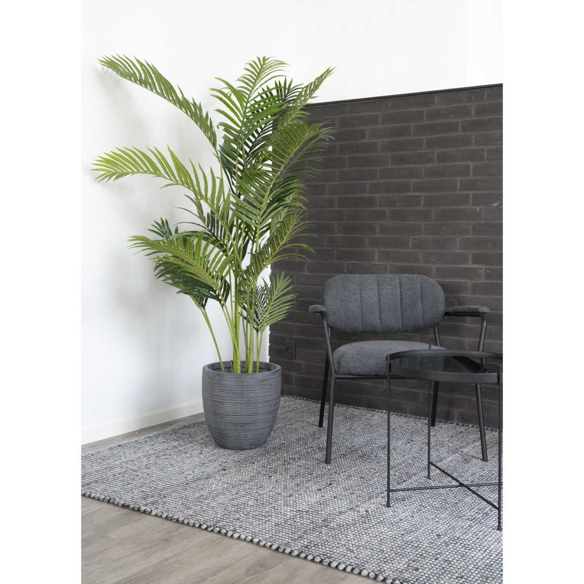 House Nordic ApS Areca palm