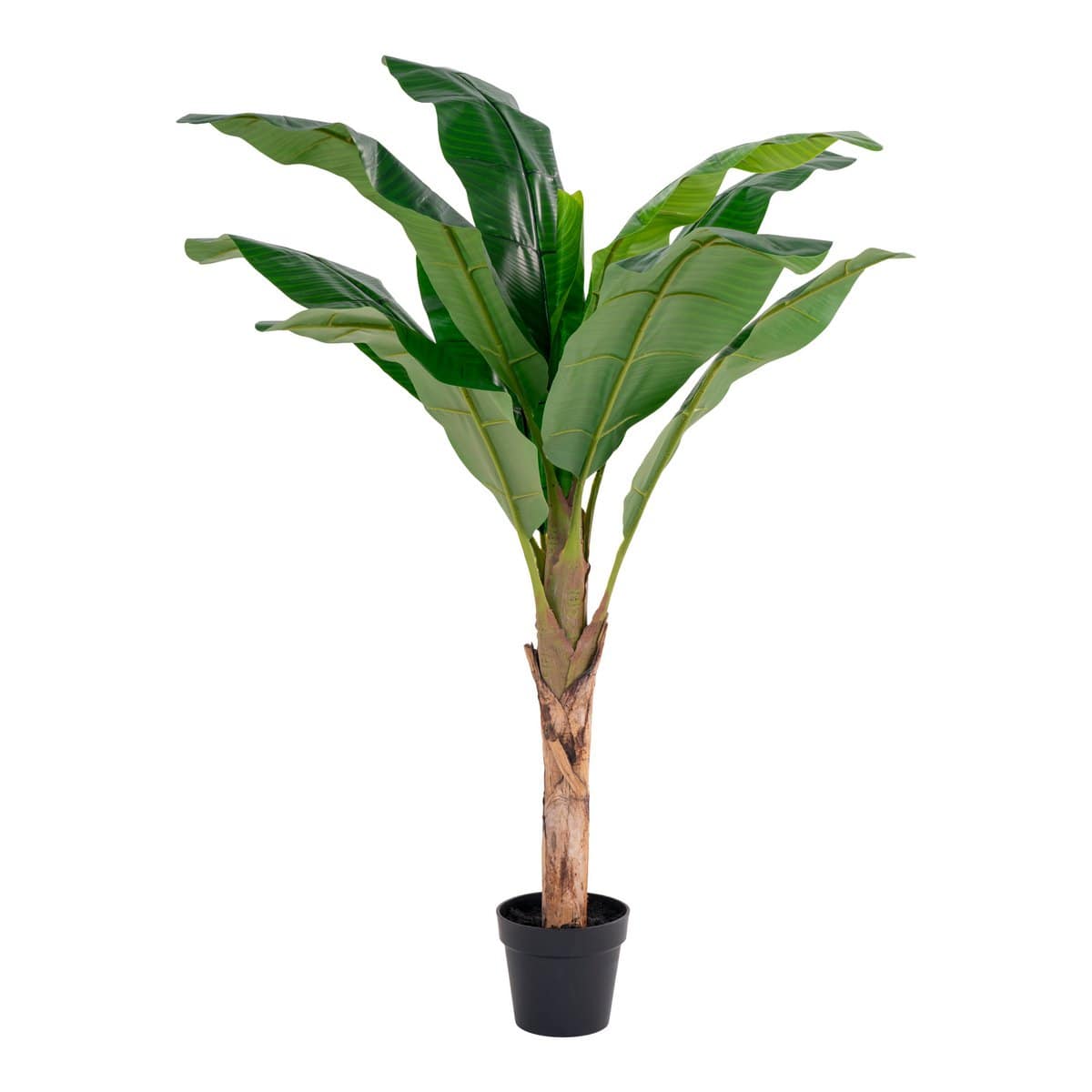 House Nordic ApS Bananenpalm