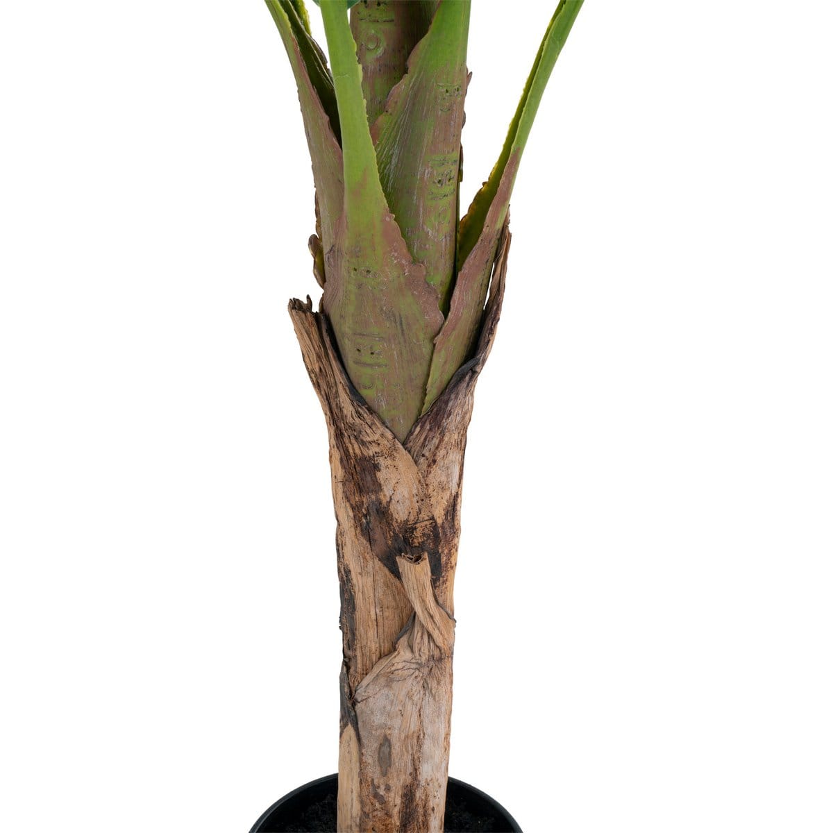 House Nordic ApS Bananenpalm