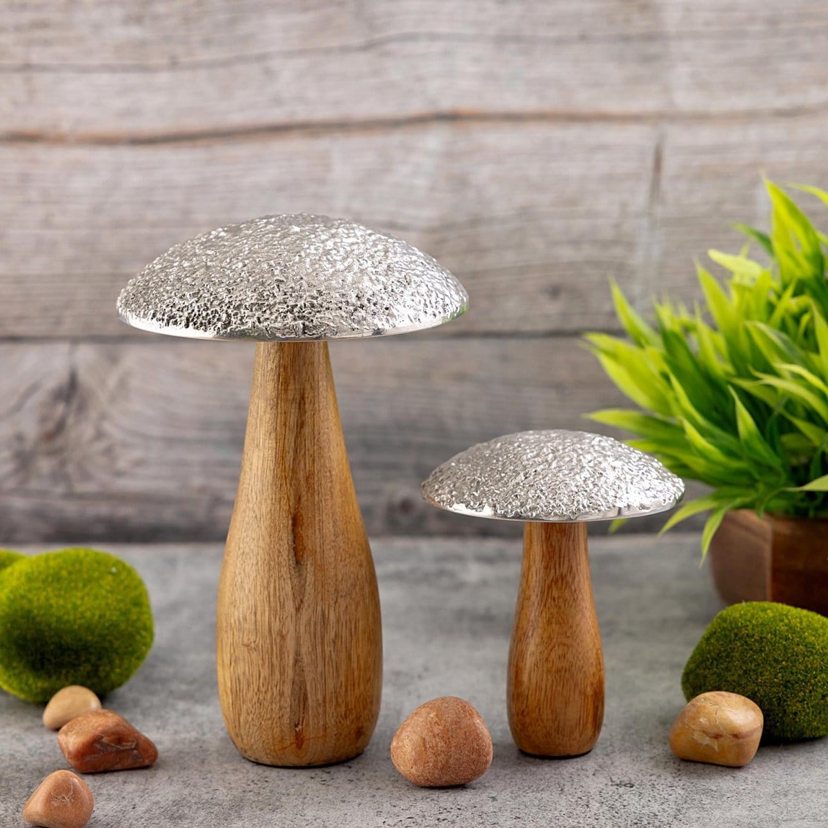 Voglrieder kreatives Wohnen Decoratieve figuren set van 2 paddestoelen H20/12x13/9cm standaard Masterbox 12x 2-delig mangohout