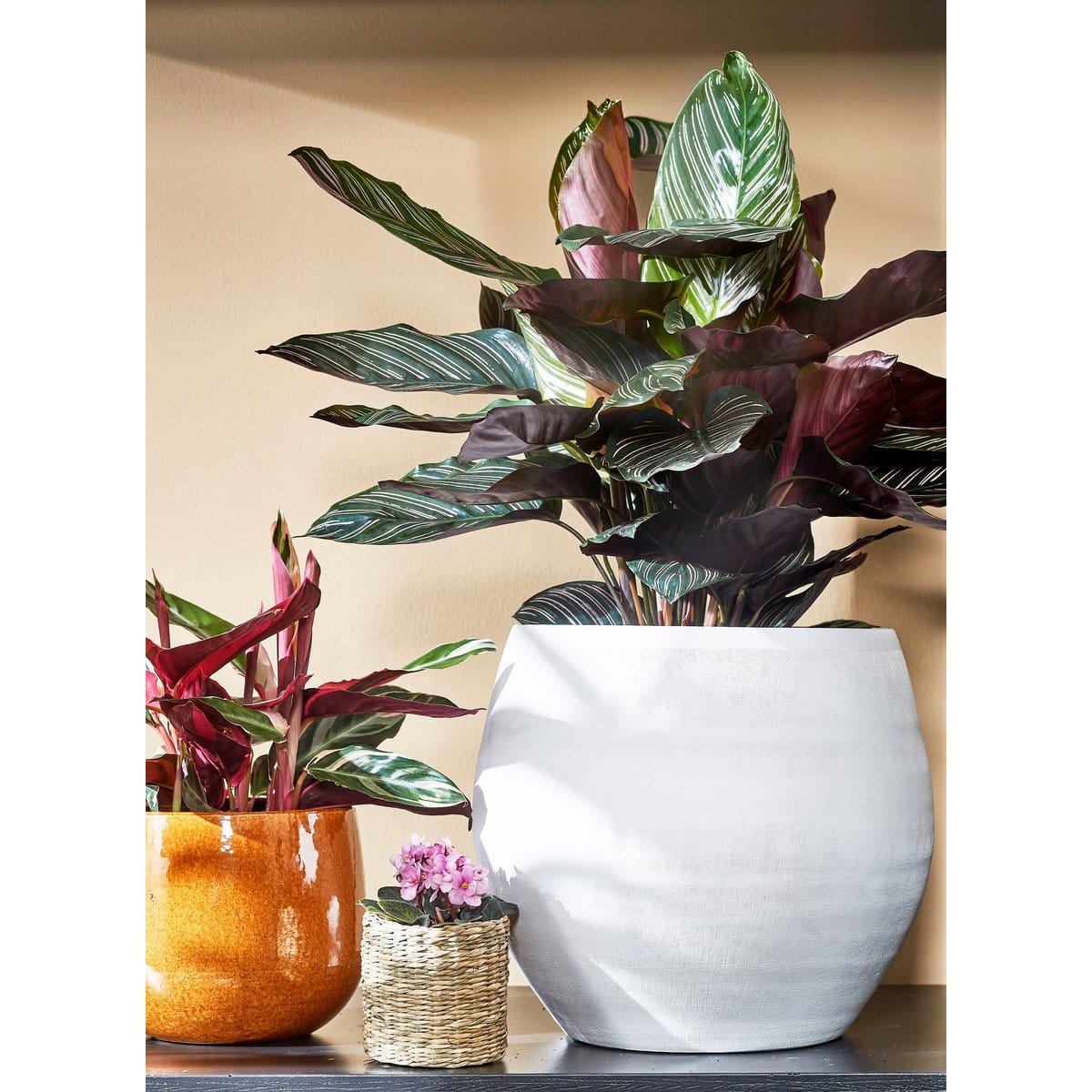 Mica Decorations Douro Bloempot - H18 x Ø20 cm - Terracotta - Mat - Wit