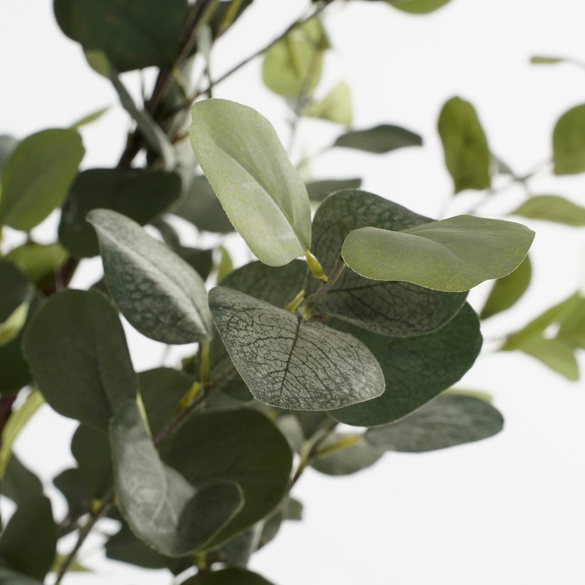 Mica Decorations Eucalyptus Kunstplant in Bloempot - H120 x Ø55 cm - Groen
