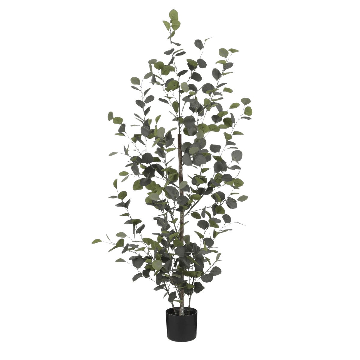 Mica Decorations Eucalyptus Kunstplant in Bloempot - H150 x Ø30 cm - Groen
