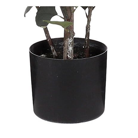 Mica Decorations Eucalyptus Kunstplant in Bloempot - H150 x Ø30 cm - Groen