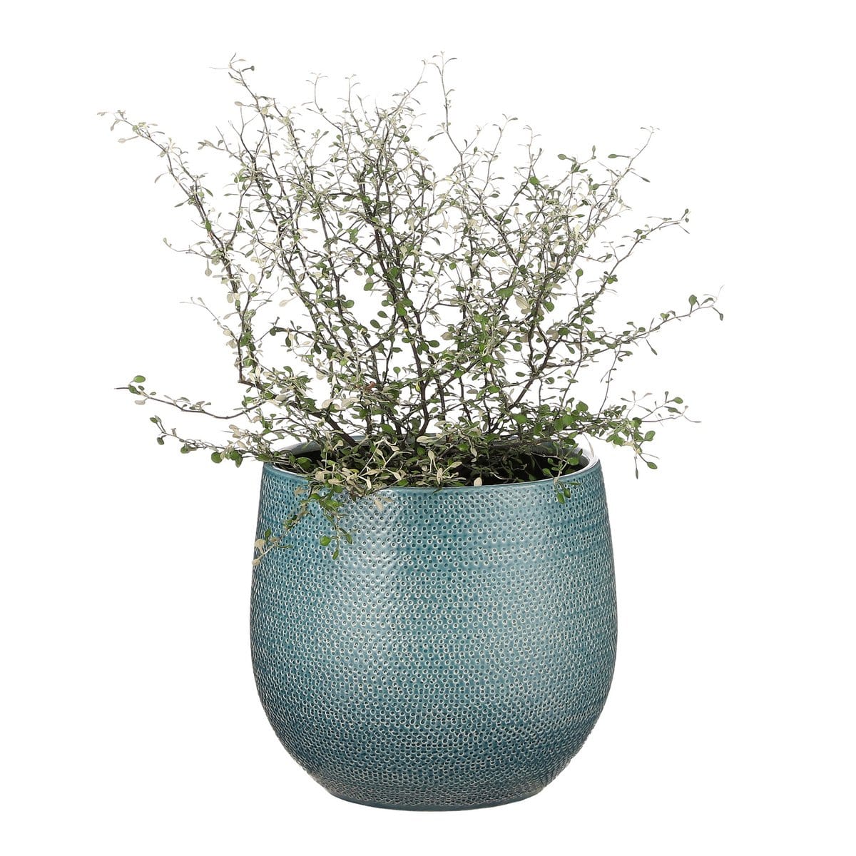 Mica Decorations Gabriel Bloempot - H19 x Ø21 cm - Keramiek - Blauw