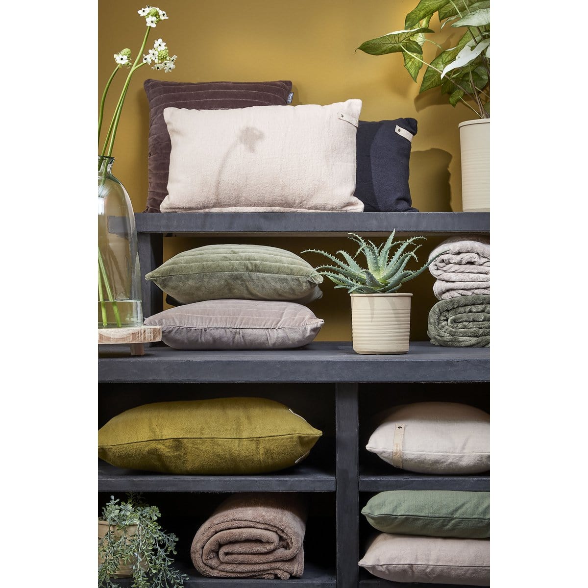 In The Mood In the Mood Collection Balboa Sierkussen - L45 x B45 cm - Groen