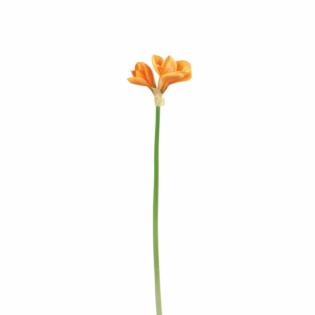 J-Line J-Line Amaryllis 3 Bloem Plastiek Licht Oranje