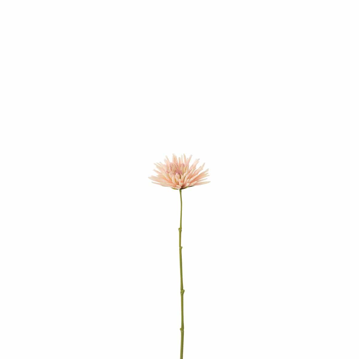 J-Line J-Line Chrysant Mini - wit/lichtroze - 24 stuks
