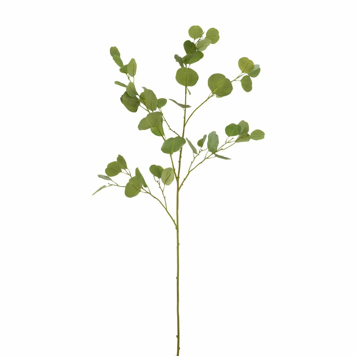 J-Line J-Line Eucalyptus Tak Kunststof Groen
