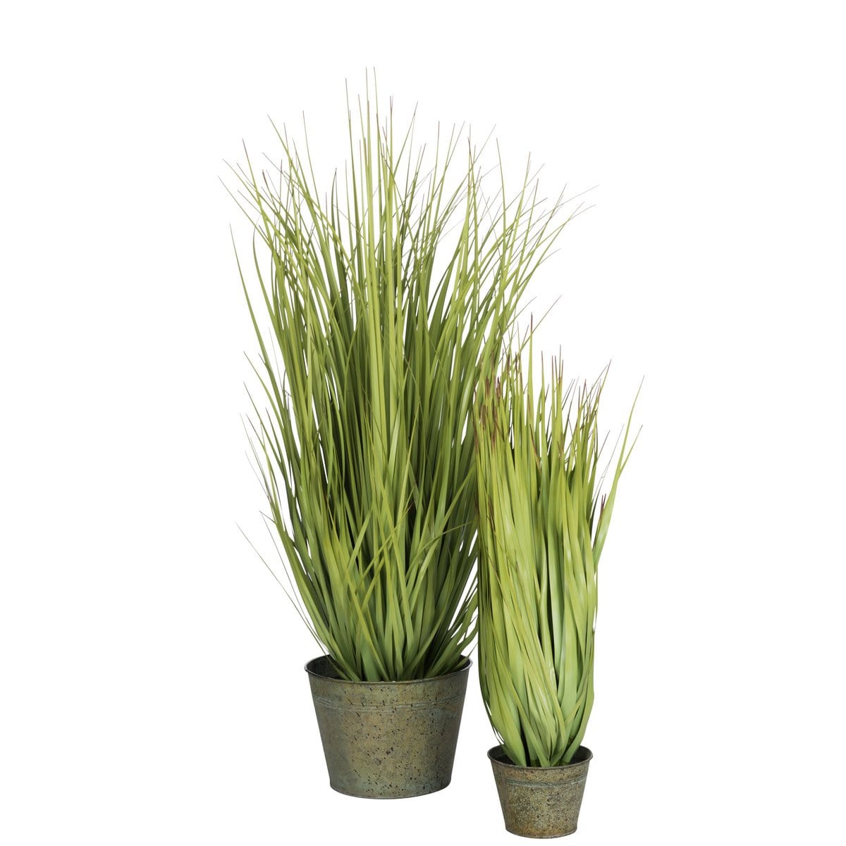 J-Line J-Line Grassen Wild In Pot Metaal Groen Plastiek Groen Large