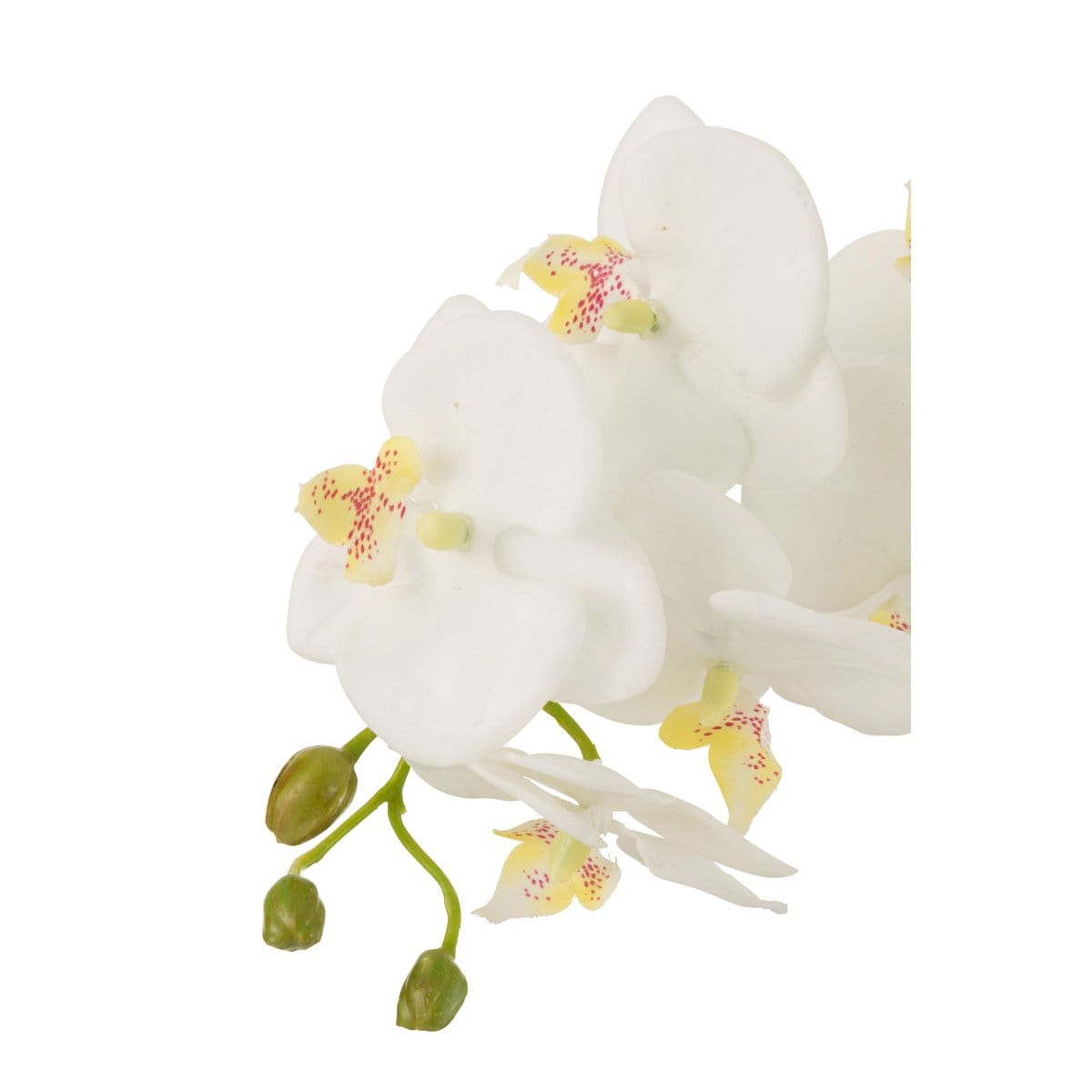 J-Line J-Line Orchidee In Aarde Plastiek Wit/Groen Large