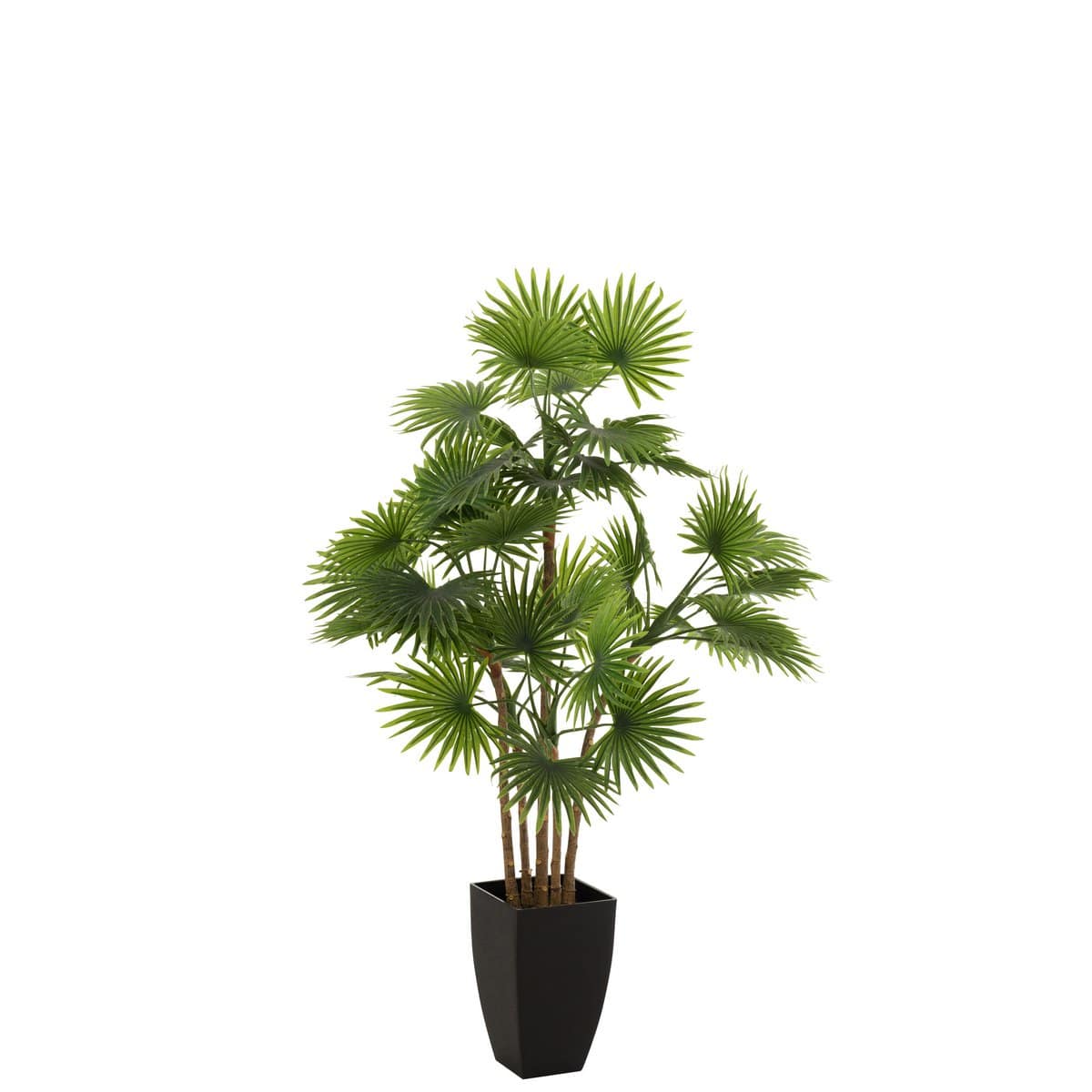 J-Line J-Line Palmboom Fan In Pot Plastiek Groen