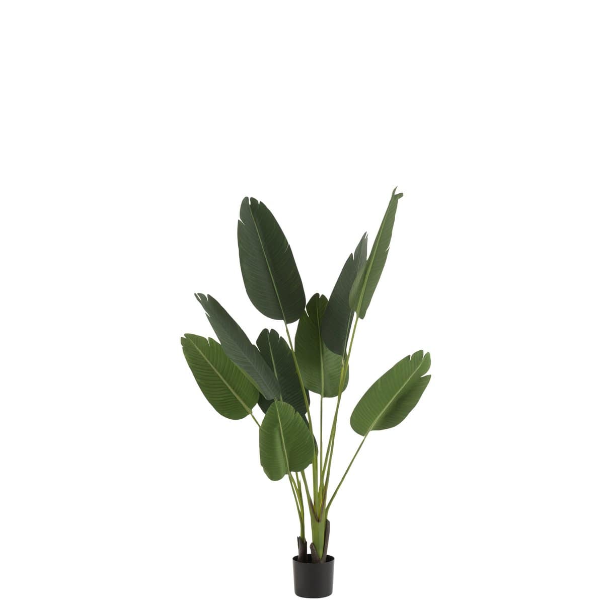 J-Line J-Line Strelitzia Plastiek Groen Small