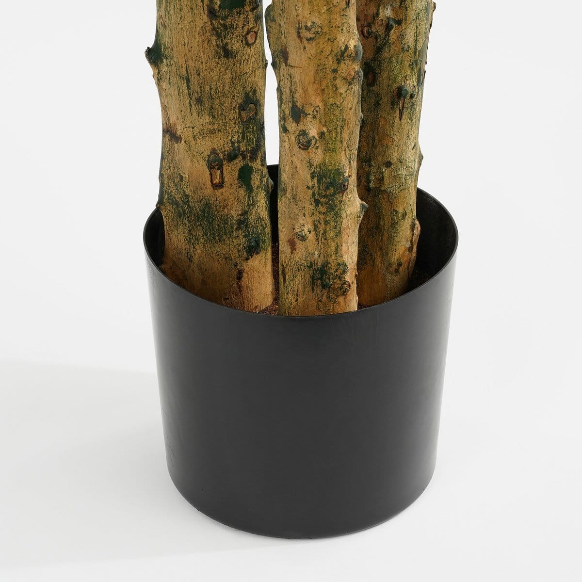 Mica Decorations Pachira Kunstplant - H175 x Ø85 cm - Groen