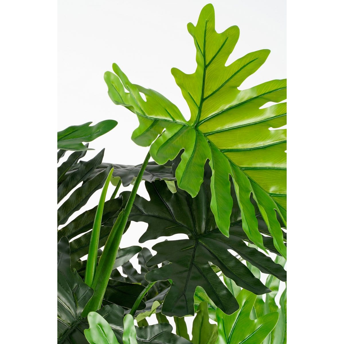 Mica Decorations Philodendron Kunstplant - H120 x Ø80 cm - Groen