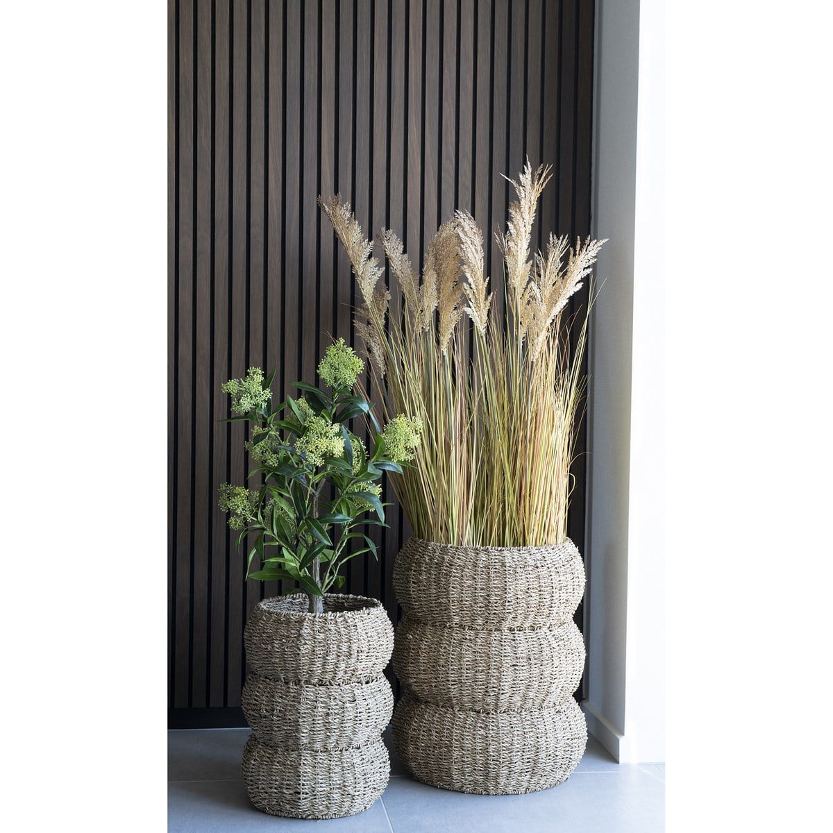 House Nordic ApS Skimmia Boom - Groen