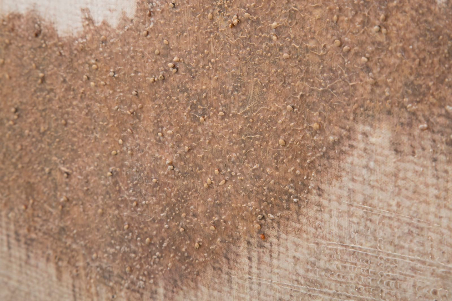 Handgeschilderd Wandschilderij Browny Boho Chic 100x80x3.7 cm