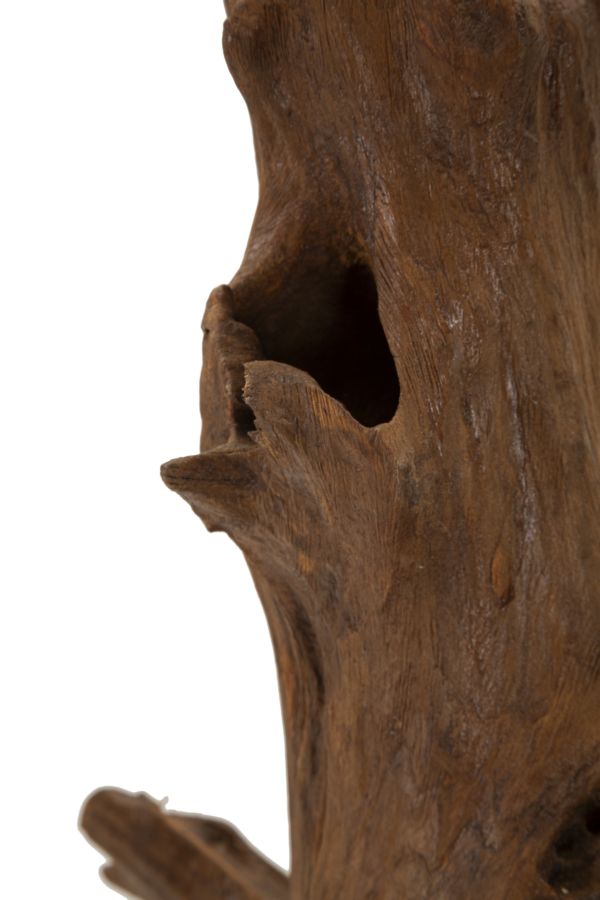 Akar Sculptuur Teak 64x23x27 cm