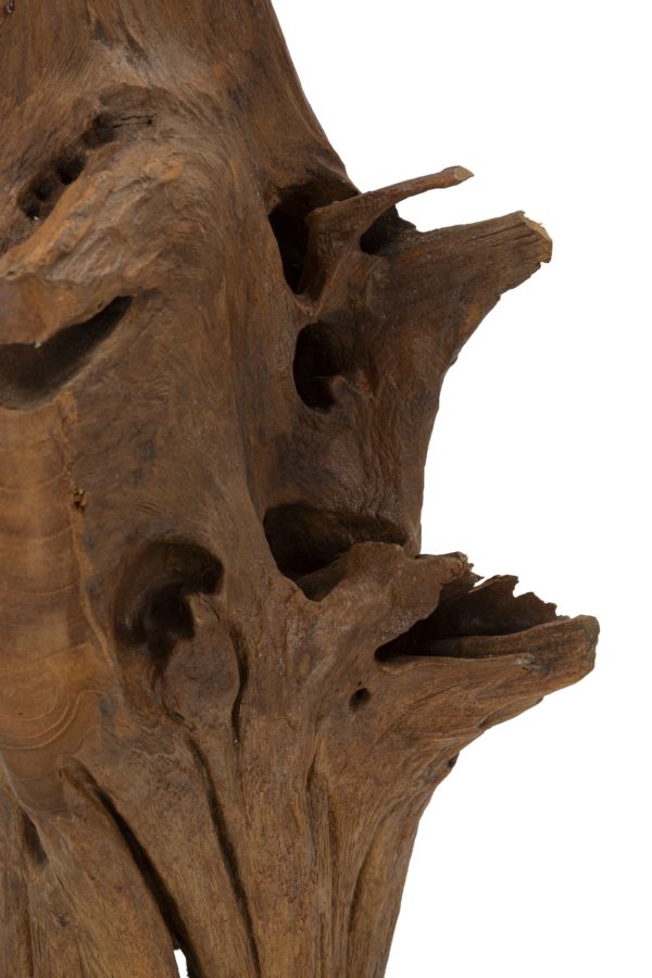 Akar Sculptuur Teak 64x23x27 cm