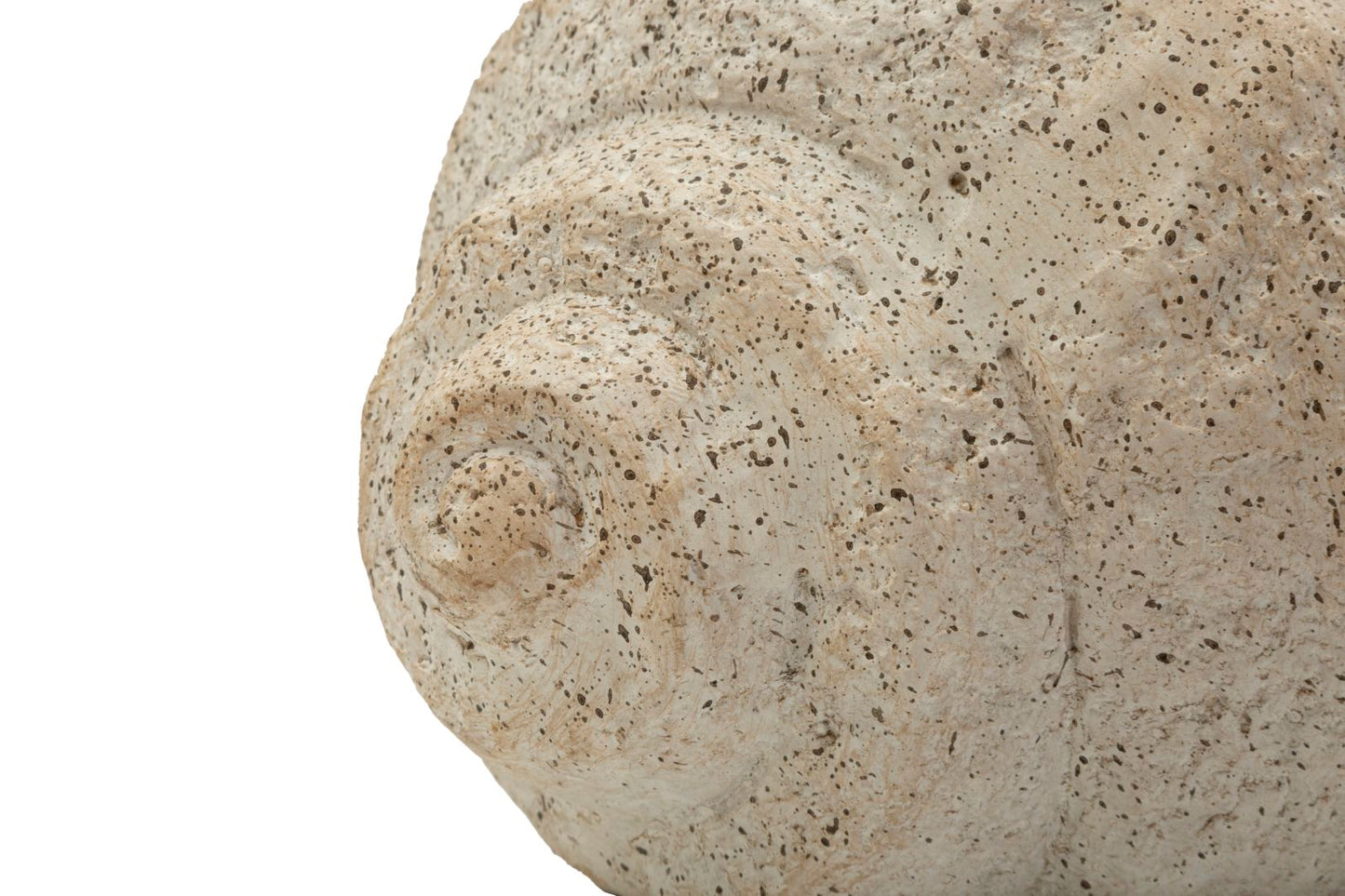 Shell Zandkleurige Vaas 18x35x23 cm