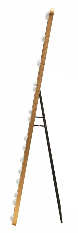 LED Vloerspiegel Hollywood Rechthoekig Goud 160x50x5 cm