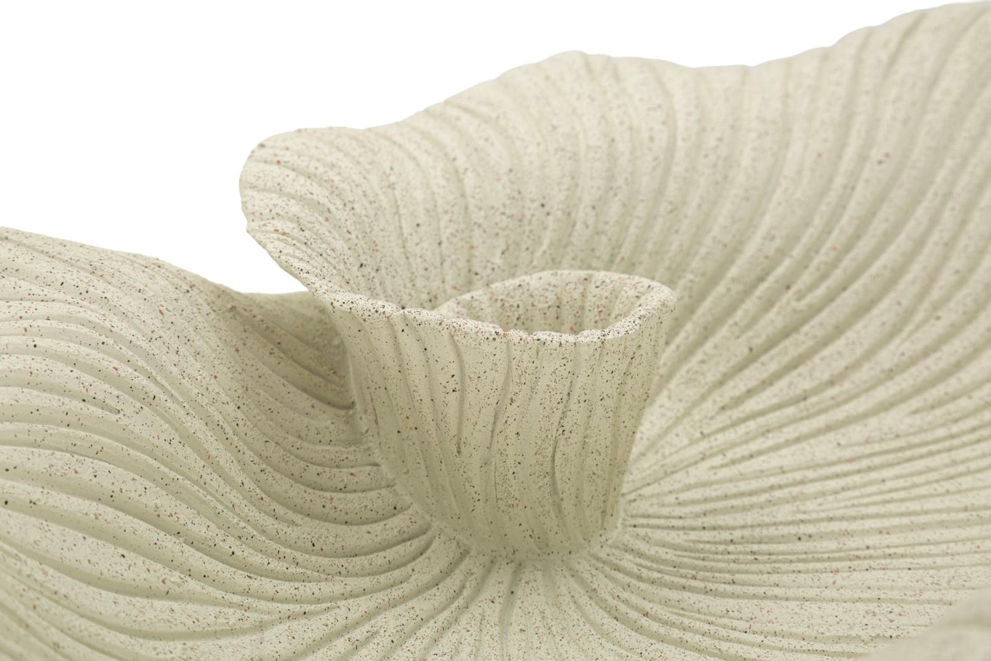 Decoratief Bloemblaadjes Presenteerschaal Sand 8.5x39x24 cm