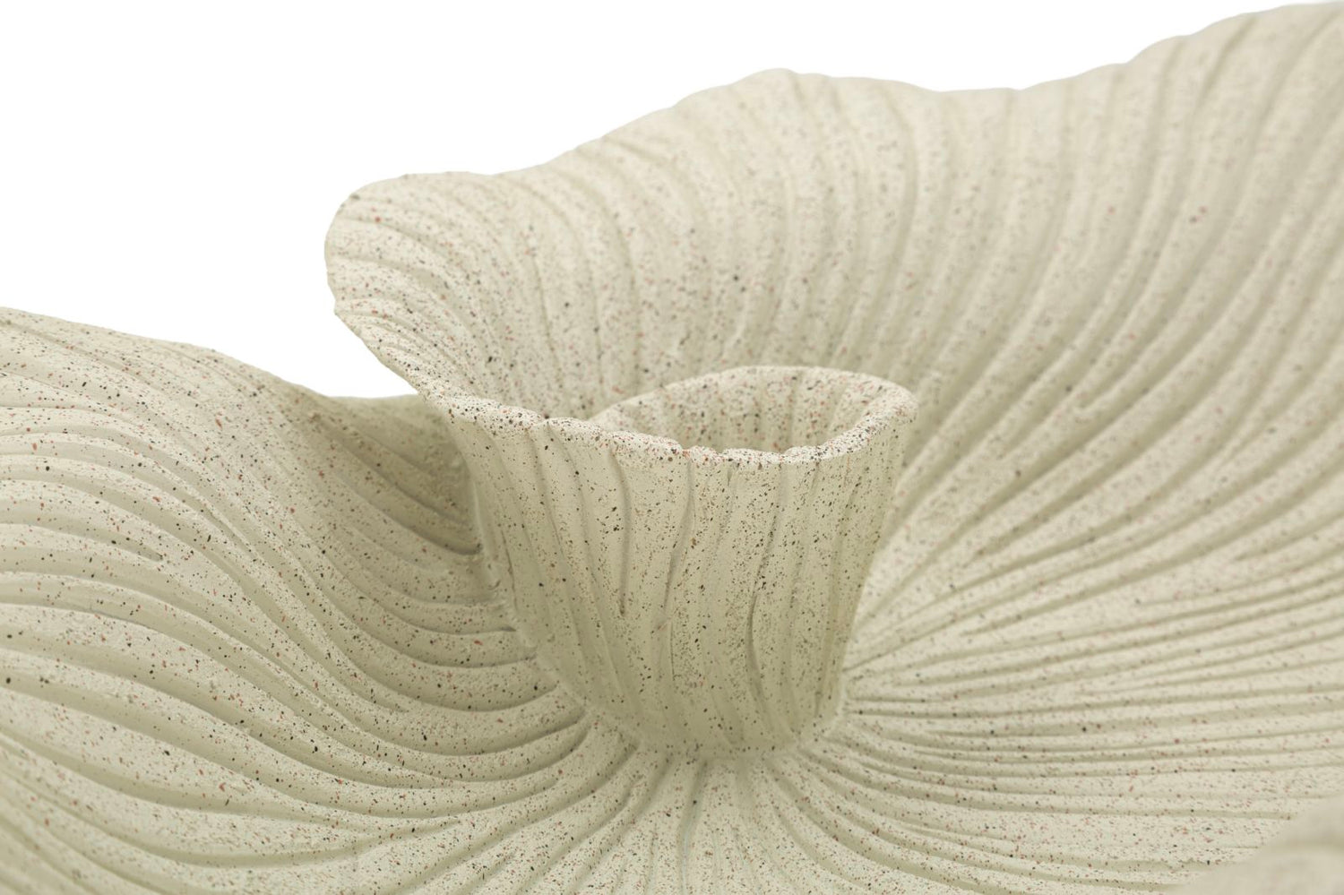 Decoratief Bloemblaadjes Presenteerschaal Sand 8.5x39x24 cm