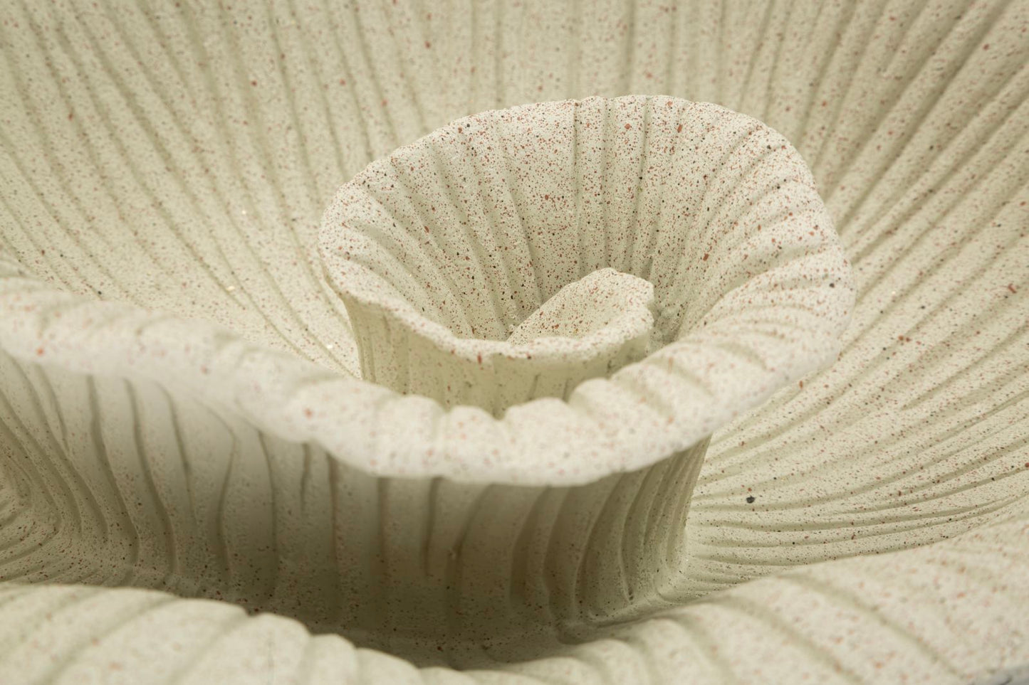 Decoratieve Bloemvormige Schaal Sand 29.5x34x13 cm