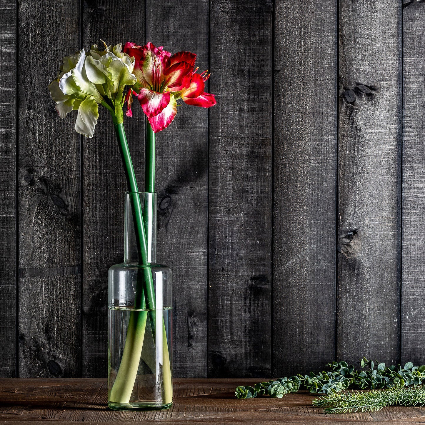 Amaryllis Bloem Fuchsia 0x0x73 cm