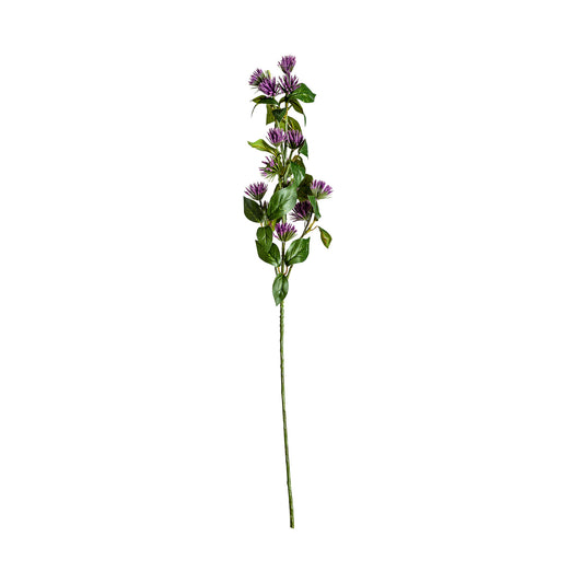 Centaurea Bloem Paars 0x0x68 cm