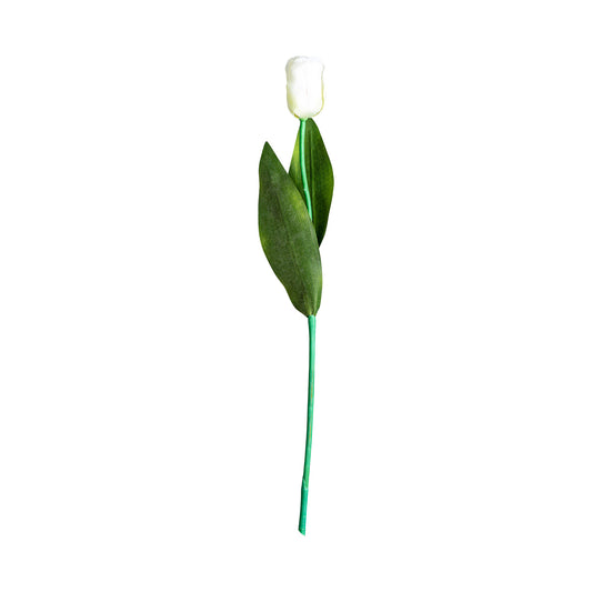 Tulpenbloem Wit 0x0x64 cm