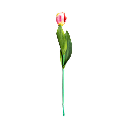 Tulpenbloem Klassiek Roze 0x0x64 cm