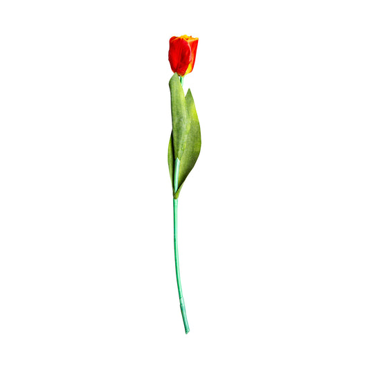 Tulpenbloem Oranje 0x0x64 cm
