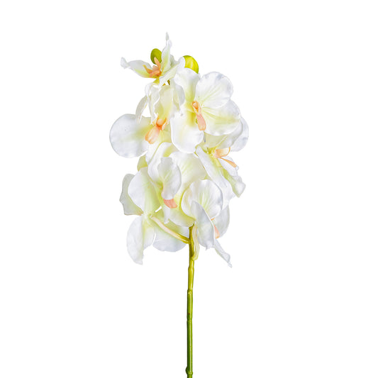 Azahar Bloem Wit 1x1x76 cm
