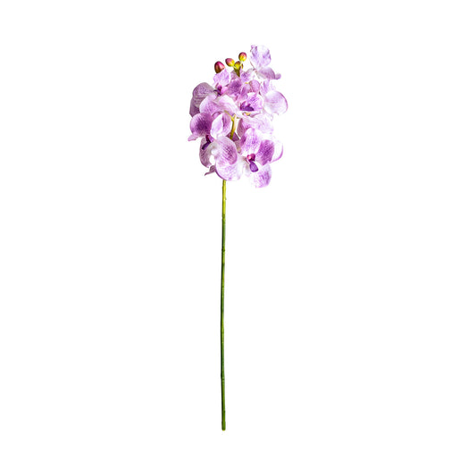 Orchidea Kunstbloem Paars 0x0x76 cm