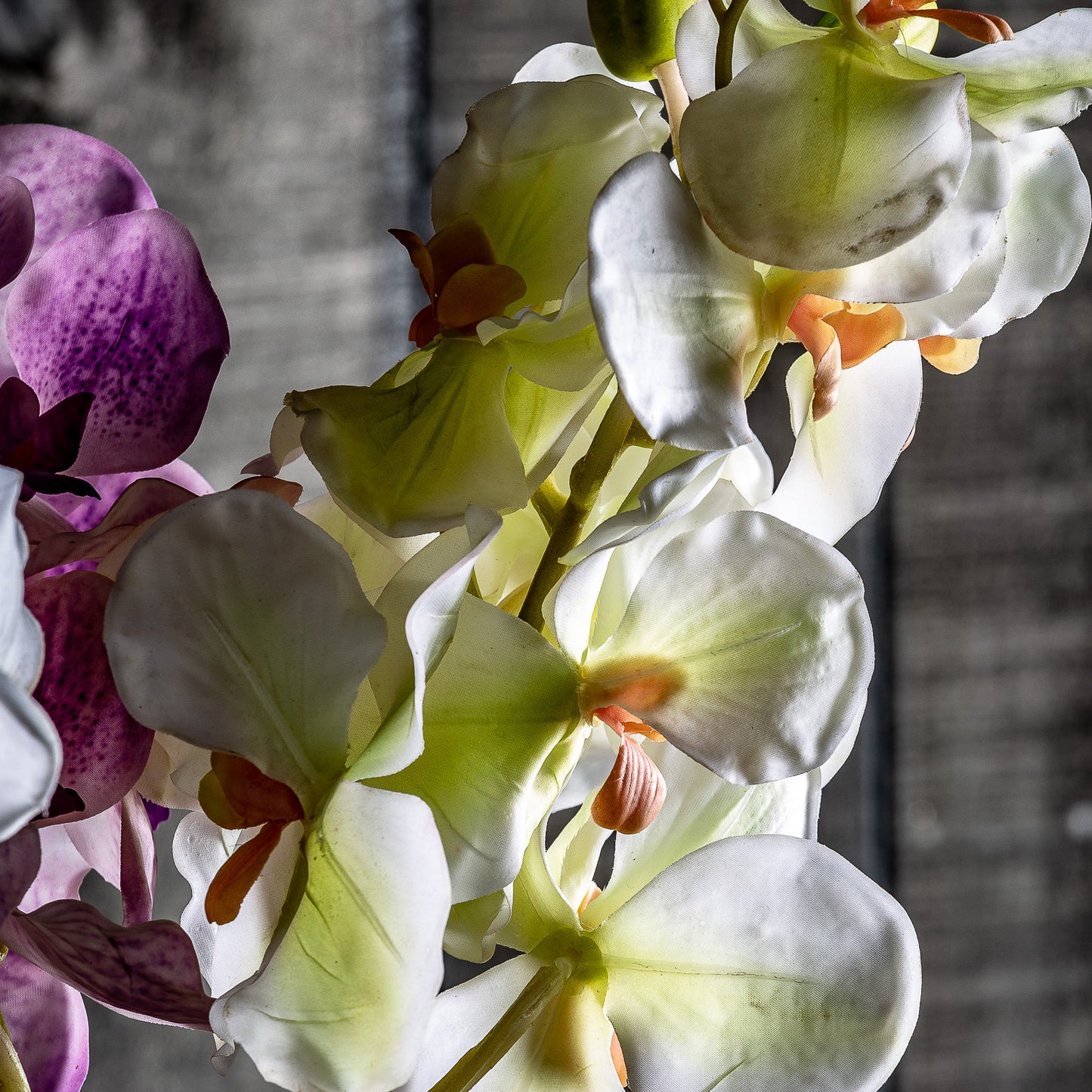 Orchidea Kunstbloem Paars 0x0x76 cm
