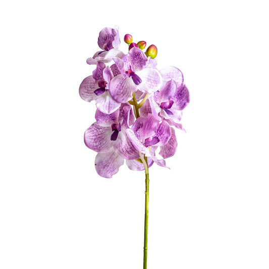 Orchidea Kunstbloem Paars 0x0x76 cm