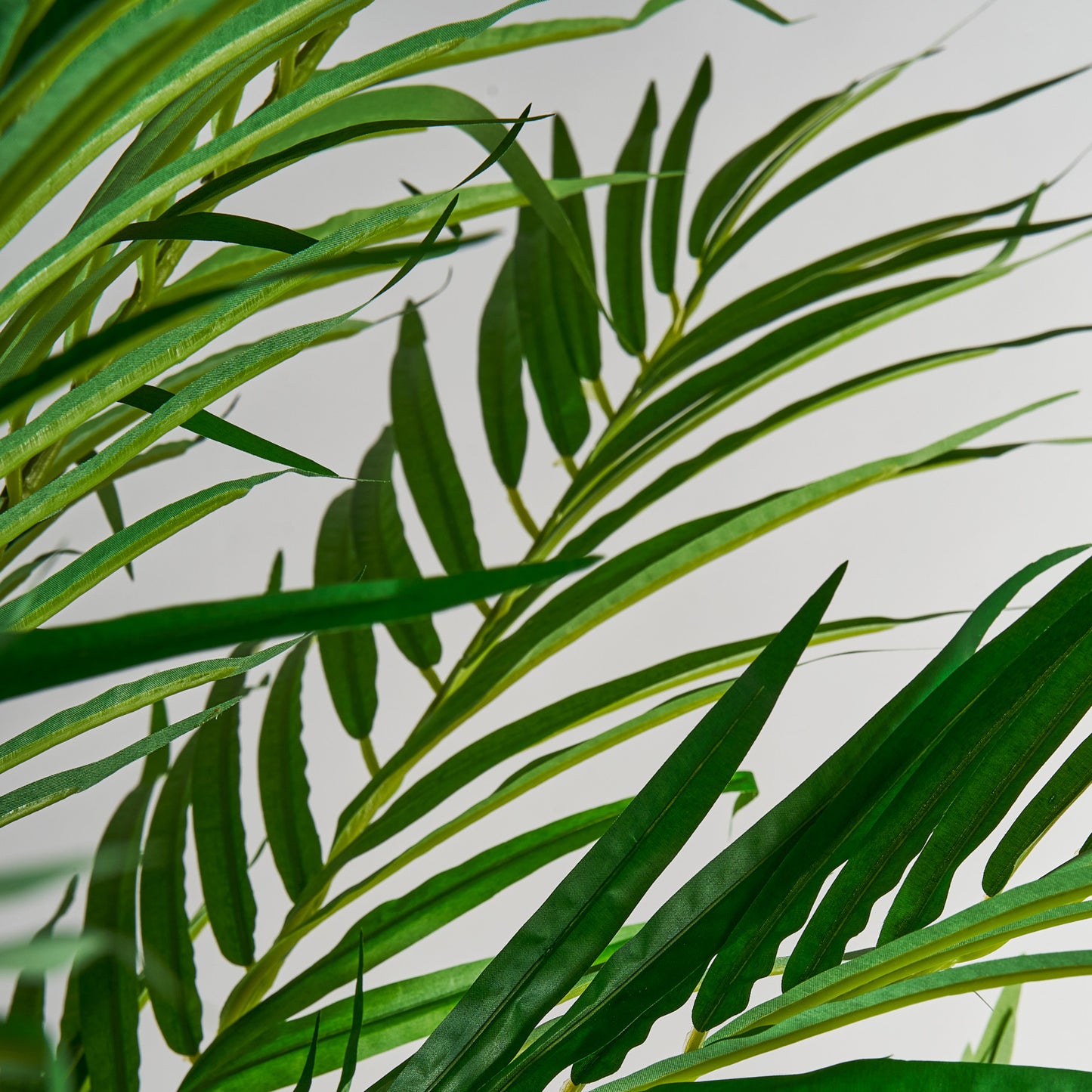 Palmera Plant Colonial 40x50x210 cm