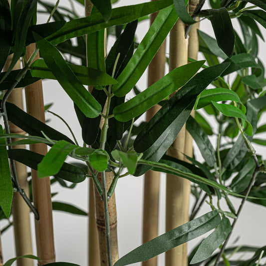 Bamboe Plant Koloniale Stijl 50x50x180 cm