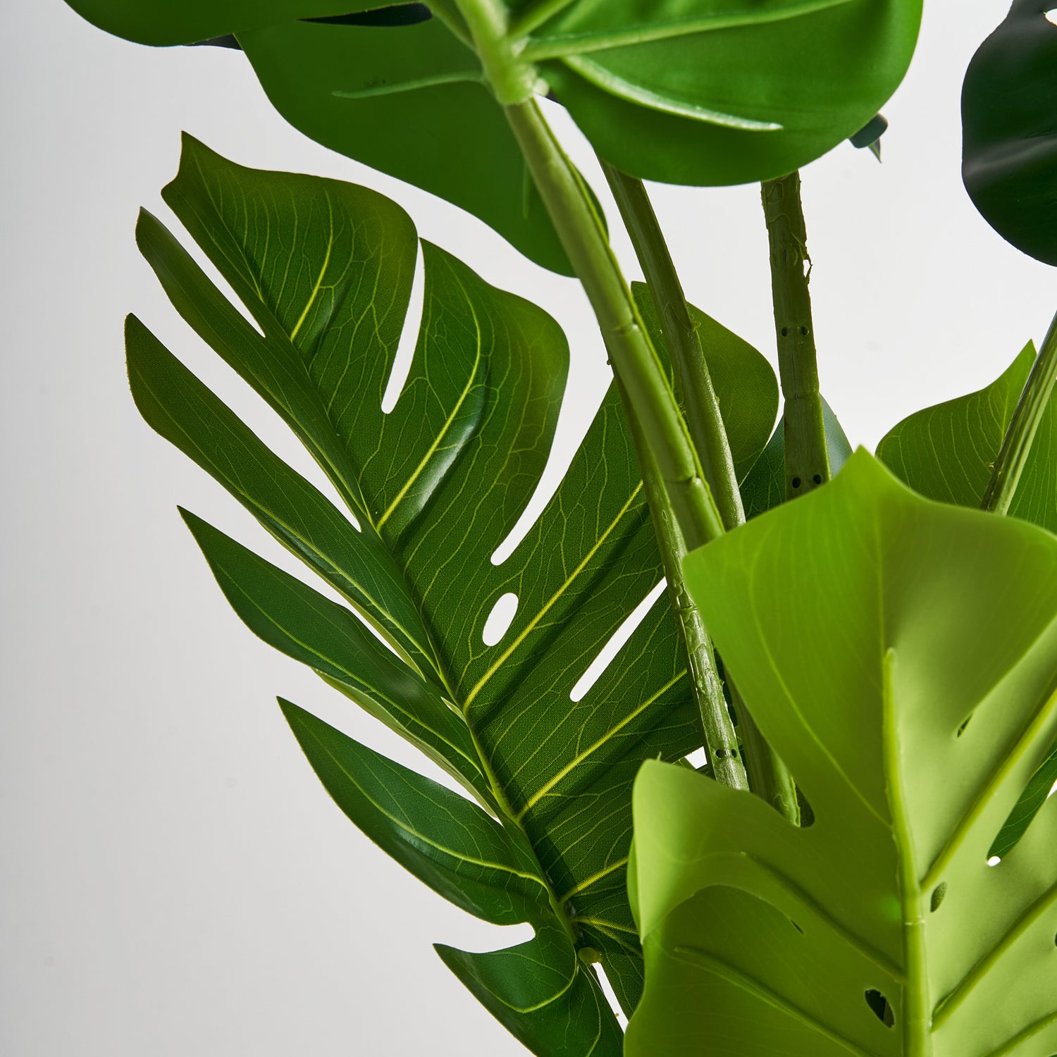 Monstera Plant Koloniaal 44x44x128 cm