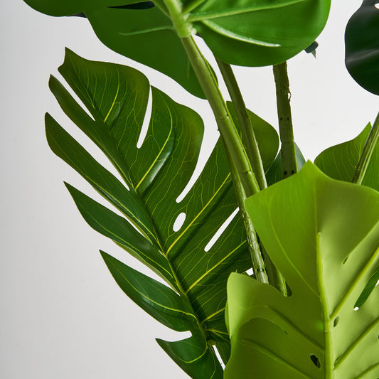Monstera Plant Koloniaal 44x44x128 cm