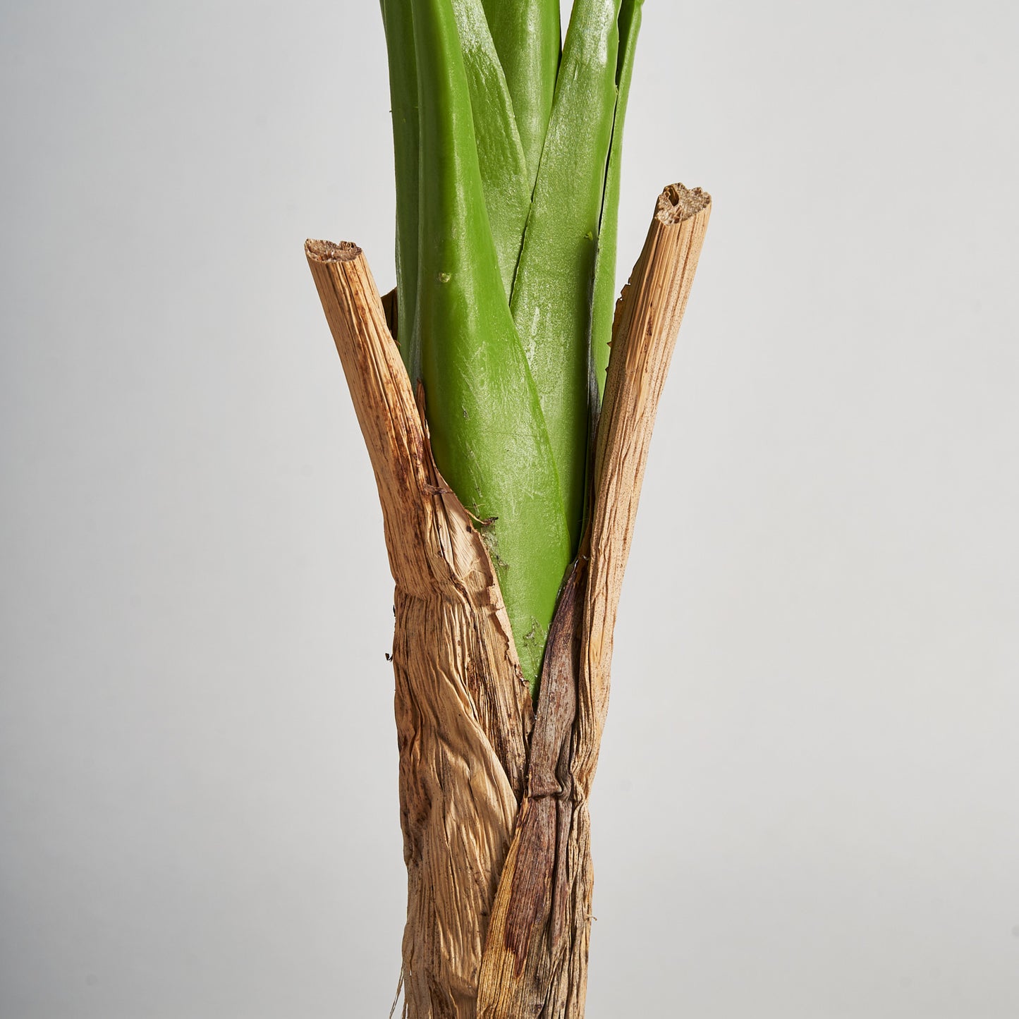 Monstera Plant Koloniaal 44x44x128 cm