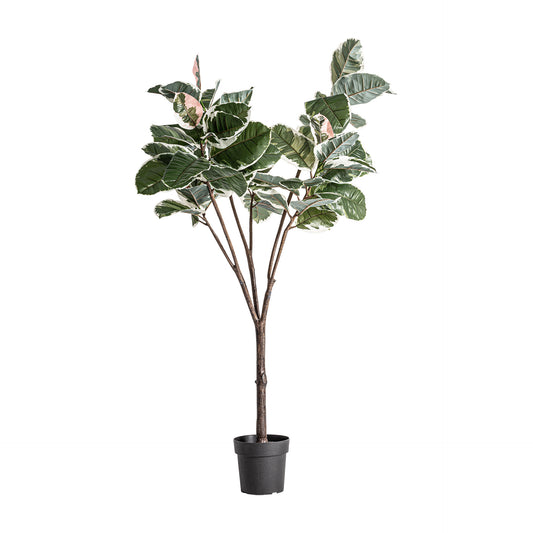 Roble Blanco Plant 75x75x178 cm