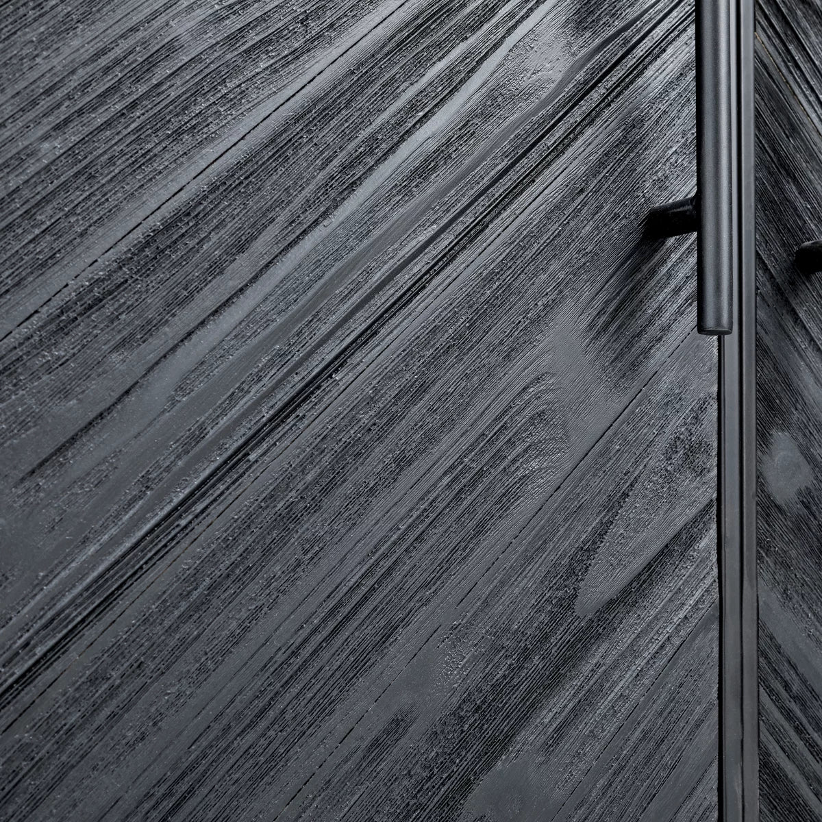 Rens Black Wooden Cabinet Metal Frame 2 Doors KD