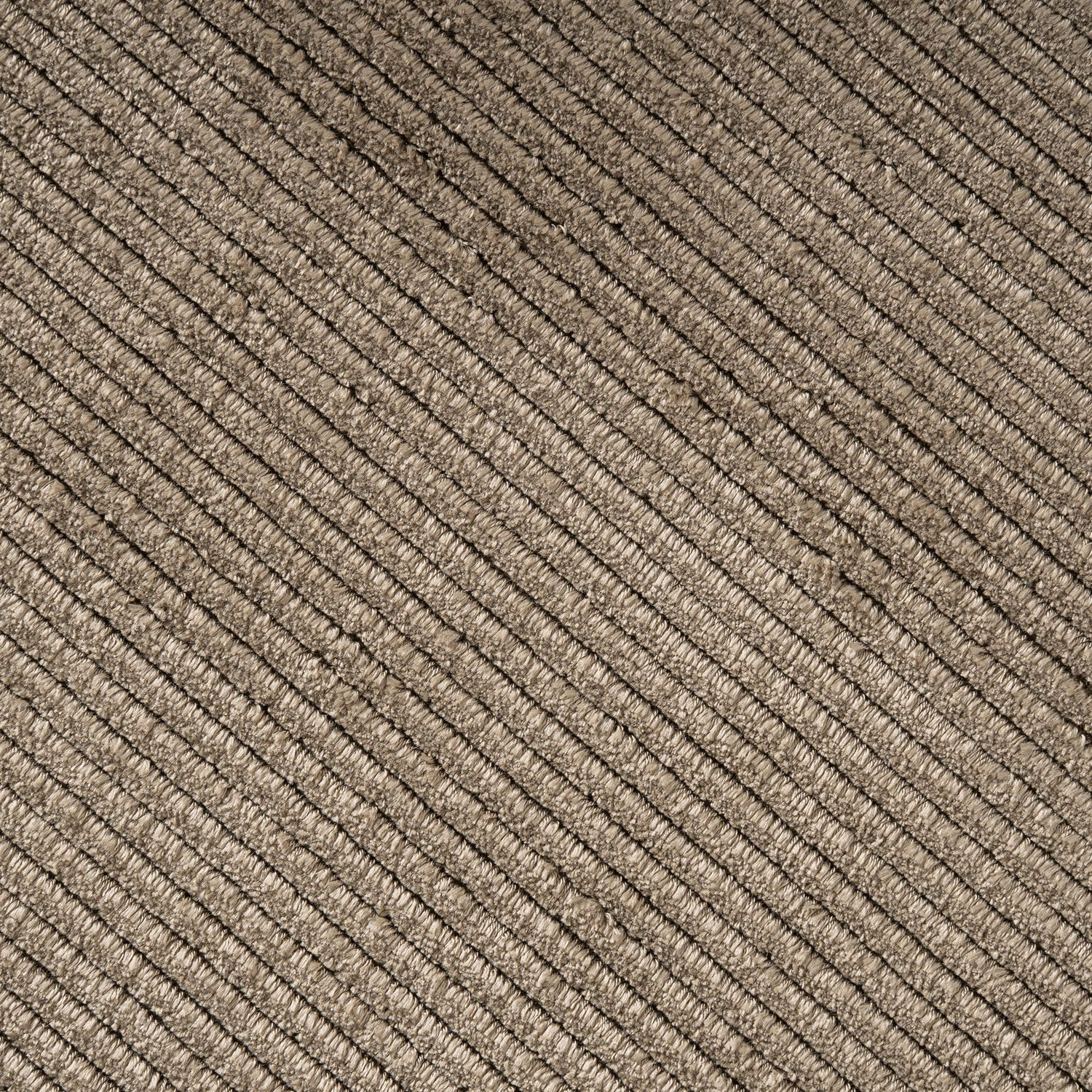 Eva Tapijt 300x200x1 cm