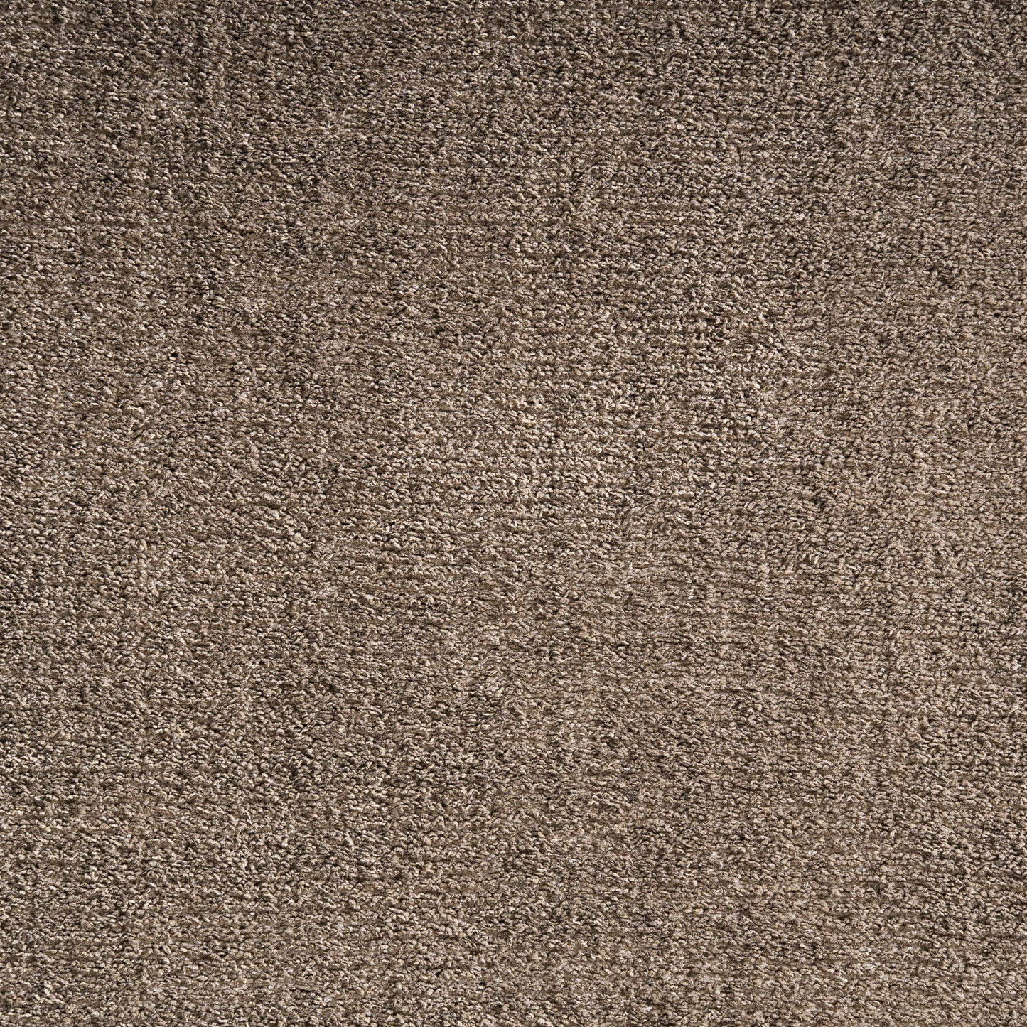 Clea Vloerkleed Klassiek Bruin 340x240x1 cm